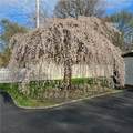55 Elm Drive - Photo 25