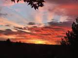 18 Sunrise Park - Photo 47