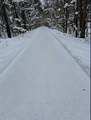 1393 State Route 49 - Photo 11