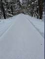 1393 State Route 49 - Photo 29
