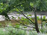 10356 Chestnut Road - Photo 16