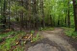 5397 County Road 33 - Photo 38