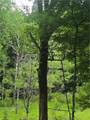 304 Watrus Road - Photo 40