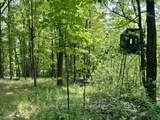 7836 Mosher Road - Photo 40