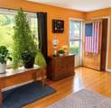 4 Bradfield St - Photo 11