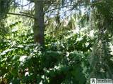 3409 Busti Stillwater Road - Photo 30