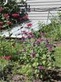 114 Gleason - Photo 32