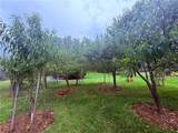 642 Walker Hill Rd Road - Photo 8