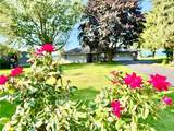 447 Ontario Drive - Photo 50