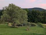 54 Doc Stark Lane - Photo 7