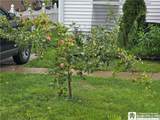 67 Elm Street - Photo 50