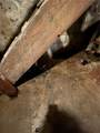 4 Hickory Street - Photo 18