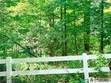 7759 County Road 40 - Photo 24