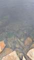 47 New Road - Photo 32