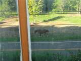 68 Bird Creek Road - Photo 31