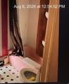 6 Elm Street - Photo 6