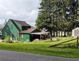 317 Chestnut Street - Photo 15