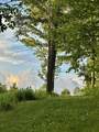 386 Springfield Hill Road - Photo 40