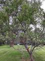 1338 County Road 36 - Photo 41