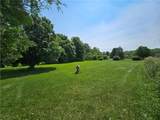 9199 Big Tree Road - Photo 19