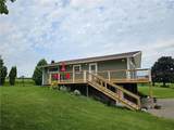 9199 Big Tree Road - Photo 3