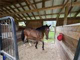 518 Hamilton Valley Road - Photo 31
