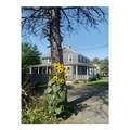 36734 State Highway 23 - Photo 2