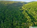 4949 Five Mile Road - Photo 47