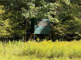 334 Lulu Coon Road - Photo 17