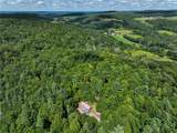 334 Lulu Coon Road - Photo 38