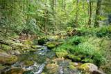 283 Pepacton Hollow Road - Photo 2