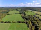 Lot 6 Warren Road - Photo 1