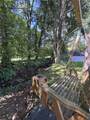 22 Bon Air Avenue - Photo 4
