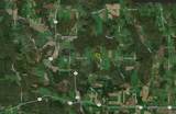 9480 Ravlin Hill Road - Photo 49