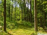 4765 Pickard Road - Photo 37
