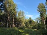 1721 Bush Road - Photo 13