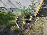 10 Westcott Street - Photo 8