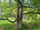 10259 Avery Hollow Road - Photo 23