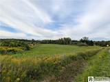 10338 Beechtree Road - Photo 33