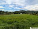 10338 Beechtree Road - Photo 37