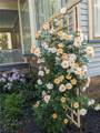 84 Dartmouth Street - Photo 46
