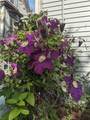 84 Dartmouth Street - Photo 47
