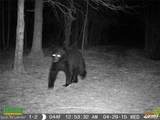 0 Co Route 25 - Photo 19