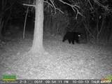 0 Co Route 25 - Photo 20