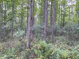 4690 County Road 16 - Photo 48