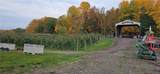 0 Norris & Rt 104 Road - Photo 30