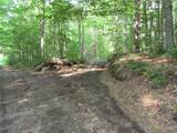 15 Chub Pond Trail - Photo 3