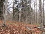 15 Chub Pond Trail - Photo 36