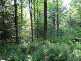 15 Chub Pond Trail - Photo 37