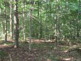 15 Chub Pond Trail - Photo 39